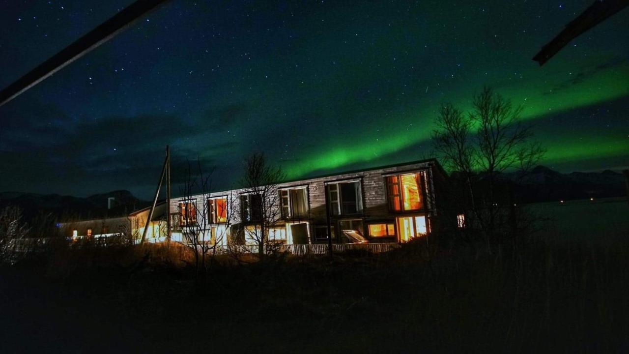Risvaer Brygger Bed & Breakfast Digermulen ภายนอก รูปภาพ